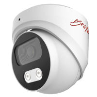 BS-F 025(2.8). Бюджетная IP-видеокамера купольная. BestIP