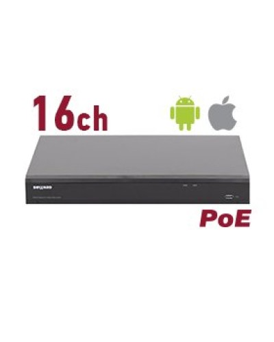 RK2216-P. Видеорегистратор IP 16-канальный. Beward в Томске