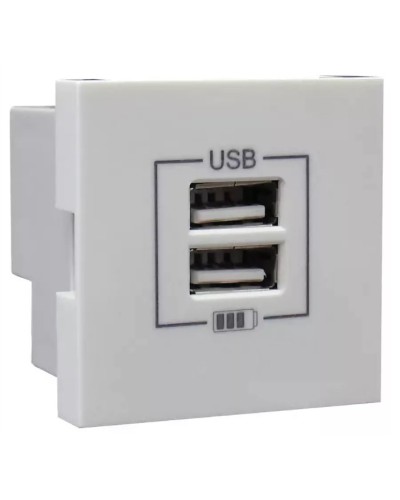 Розетка USB двойная, зарядная, белая (45439 SBR): Розетка USB двойная в Томске
