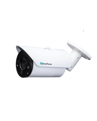 EZN-268V. Видеокамера IP купольная. EverFocus в Томске