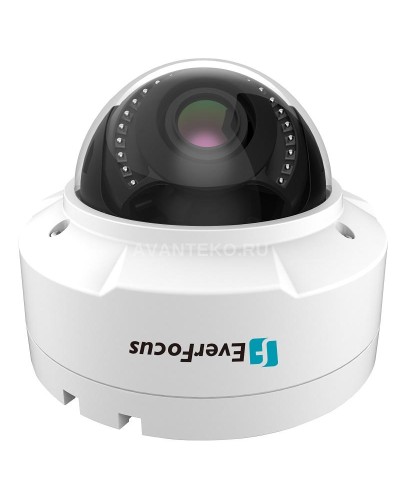 EHN-1250. Видеокамера IP купольная. EverFocus в Томске