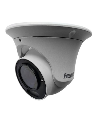 FE-IPC-DV2-40pa. Видеокамера IP купольная. Falcon EYE в Томске