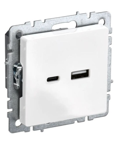 Розетка USB A+C 18Вт РЮ11-1-БрБ белый BRITE (BR-U22-018-K01). Розетка USB. IEK в Томске