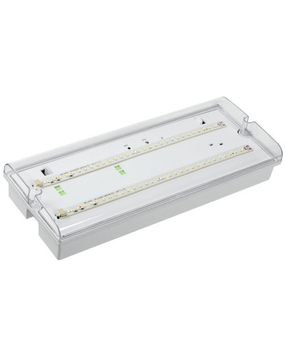 Светильник аварийный ДПА 5042-3 3ч IP65 LIGHTING (LDPA0-5042-3-65-K01). Светильник аварийный универсальный. IEK в Томске