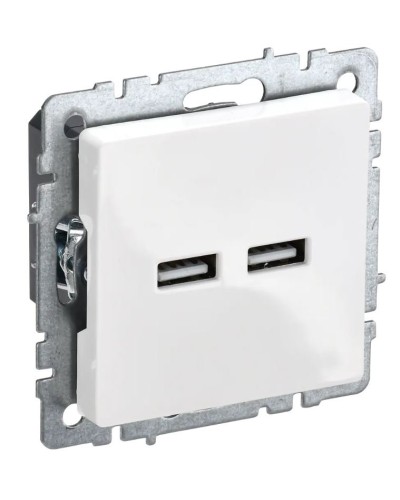 Розетка USB A+A 3,1А РЮ10-1-БрБ белый BRITE (BR-U21-D31-K01). Розетка USB. IEK в Томске