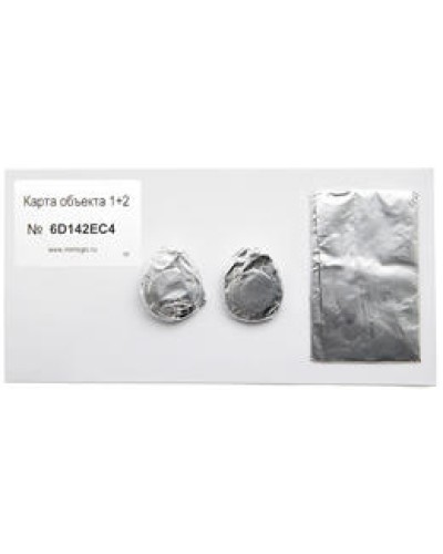 Карта объекта 1+2. Проксимити карта. IronLogic в Томске