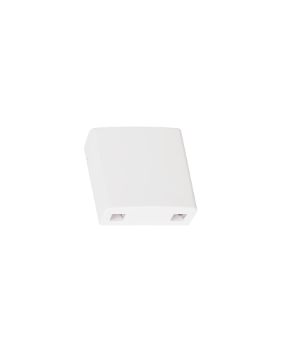 NMF-WO2-BLANK-CS-WT. Корпус настенной розетки. NIKOMAX в Томске