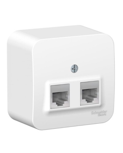 BLANCA розетка RJ11+RJ45, 2-местная, кат. 5Е, открытой установки, белый (BLNIA045111). Розетка компьютерная + телефонная с изолированной пластиной. Systeme Electric в Томске