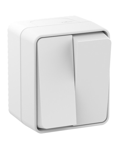AtlasDesign PROFI54 выключатель 2-клавишный, открытой установки, белый (ATN540151). Выключатель. Systeme Electric в Томске
