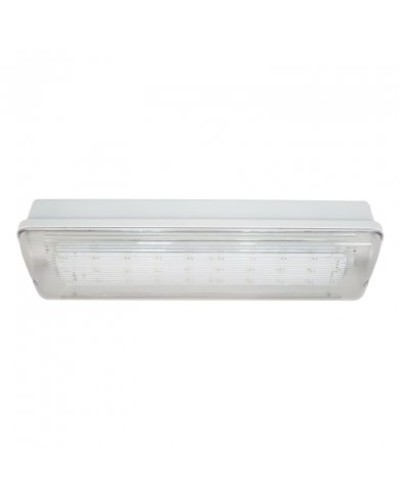 SL-223-30LED1.8 исп. 1, IP65. Светильник аварийного освещения. ИП Раченков А.В. в Томске
