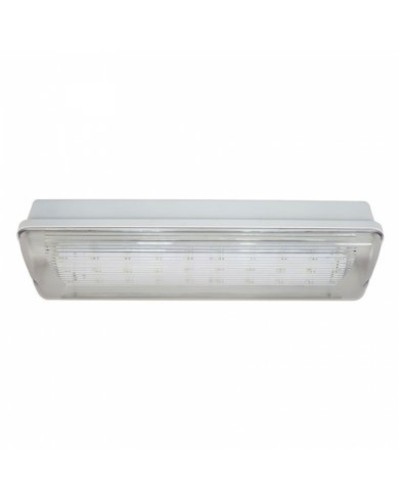 SL-213-30LED1.8 исп.1 IP54. Светильник аварийного освещения. ИП Раченков А.В. в Томске