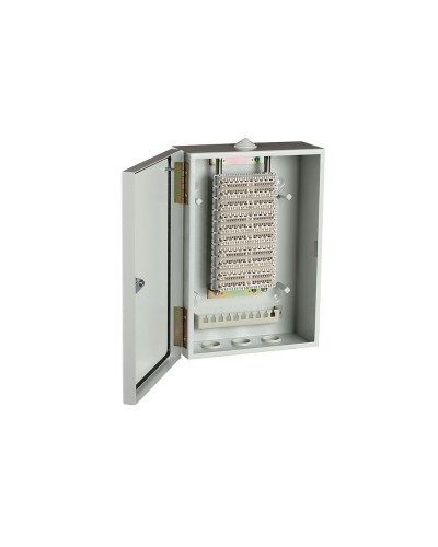 ШРН-В/100-Р (120908-00122). Шкаф ШРН-В/100-Р, плинт ПВТ-10Р-5е. ССД (Связьстройдеталь) в Томске
